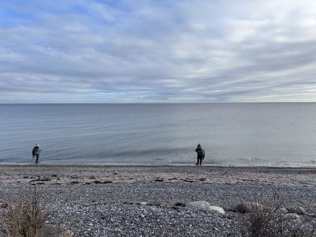 Strand in direkter Nähe zur Ferienwohnung Beltblick auf Fehmarn